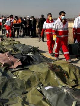 49fcf8d7-ddbf-4c31-923d-b474655fd657_16x9_600x338