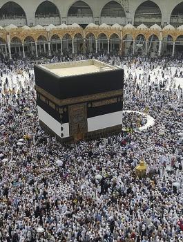 تطعيم حجاج بيت الله الحرام 