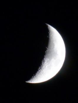 شهر ربيع الأول