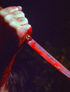 اردني يقتل زوجته في الكرك 