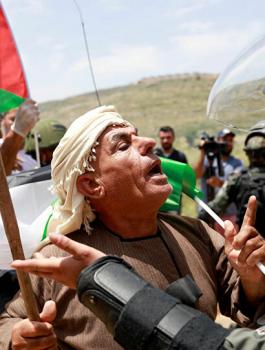 1045504591_0_193_3072_1855_1000x541_80_0_0_a576b2b502a854e882487283f6c2a427