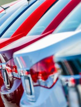 اعداد السيارات في الضفة الغربية 