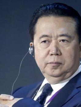 مسؤول الانتربول 