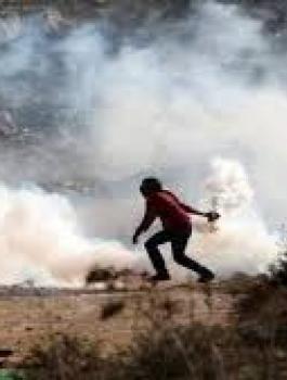 تنزيل-4-1-1280x720