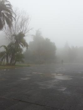 حالة الطقس في فلسطين 