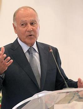 ابو الغيط والمسجد الأقصى 