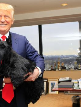 صحيفة أمريكية تنصح ترامب باقتناء كلب ليساعده على التخفيف من غضبه!