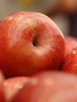 اسرائيل وتفاح الجولان 