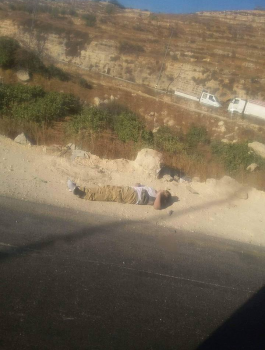 14441047_1556388207736927_3042448506333208276_n