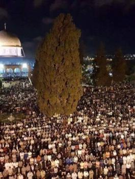 احياء ليلة القدر في الأقصى 