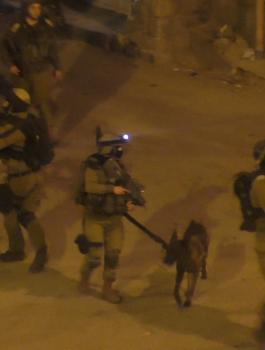 اعتقالات في بيت امر 