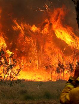 5dc722194c59b7091625a06f