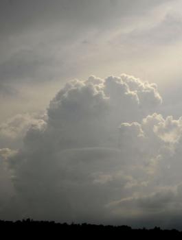 حالة الطقس في فلسطين 