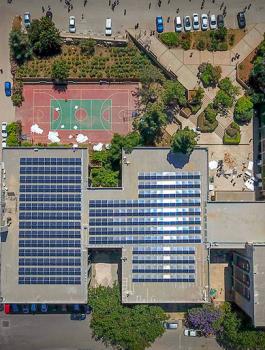 بيرزيت الجامعة الخضراء الأولى فلسطينيا 