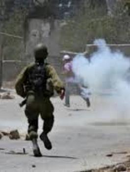 0c03cf33-ca3e-45f0-9062-6772283f850b