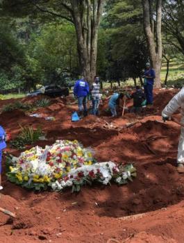 وفيات البرازيل جراء كورونا 