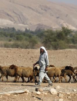 اسرائيل والاردن والضفة الغربية 