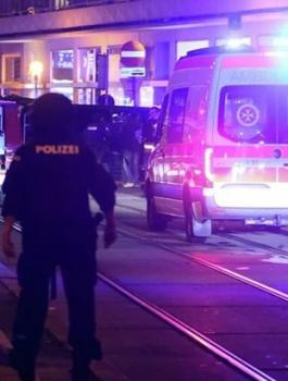 داعش وهجوم فيينا 