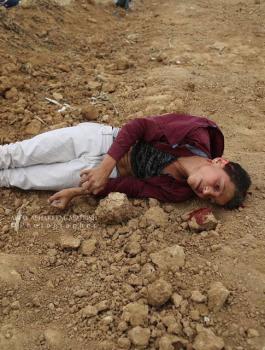 غرينبلات والشهيد محمد ابراهيم ايوب 