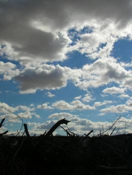 حالة الطقس في فلسطين 