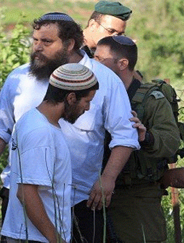 7405267fb8568abfd859b58772636756