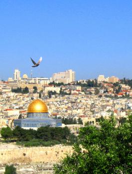 وثائق تكشف امتلاك تركيا 30 ألف دونم من أراضي القدس