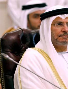 الامارات والتطبيع 