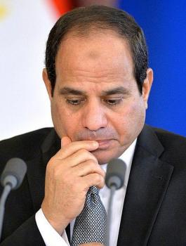 السيسي واجهنا 21 ألف شائعة
