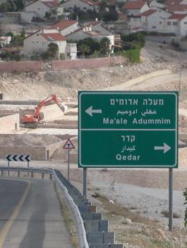 palestinejan2010-10