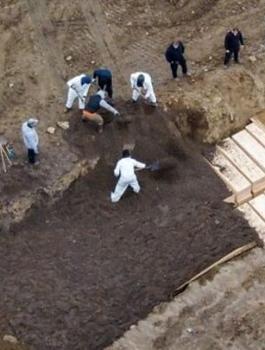 وفيات كورونا في العالم 