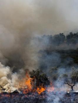 مستوطنون يشعلون النيران في أراضي في صفا