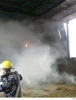 13413777_1107894502585512_3505723066629705990_n