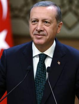 صلاحيات اردوغان الرئاسية 