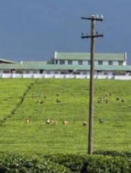 تقرير اممي يدين اسرائيل