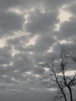 f9d30d1273411d5397086e52f2ffc543