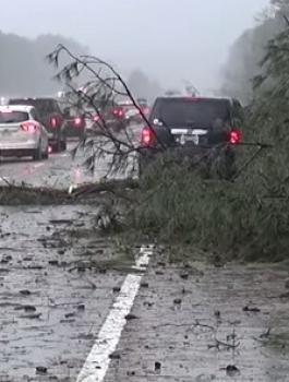 اعصار فلوريدا 