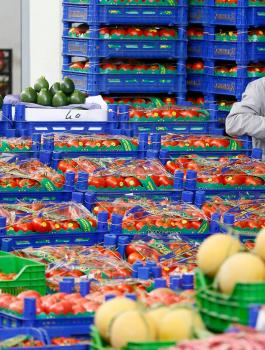 صادرات تركيا لـقطر من الفواكه والخضراوات ترتفع 724%