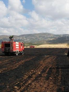 13131536_1081003671941262_3646774589138388054_o