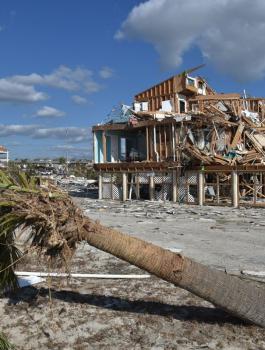 اعصار مايكل يضرب فلوريدا 