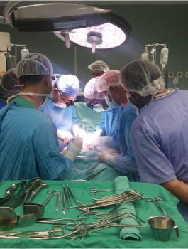 عمليات زراعة الكلى 