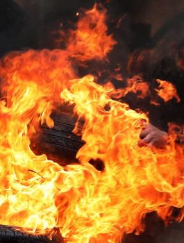 اصابات في مواجهات مع الاحتلال بجنين 