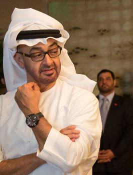 محمد بن زايد والامارات 