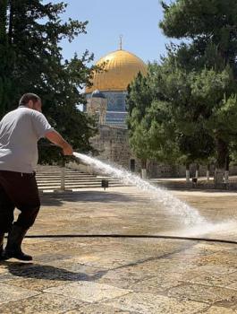 اعادة فتح المسجد الاقصى المبارك 