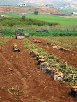 وزير الزراعة الاردني في رام الله 