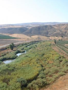 الباقورة والغمر 