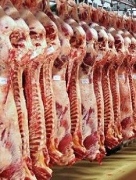 اسعار اللحوم في الضفة 