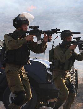 الشهداء في فلسطين 