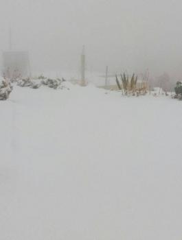 الثلوج في الاردن