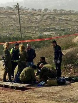 1909596_1286872678021816_4626778970324136296_n