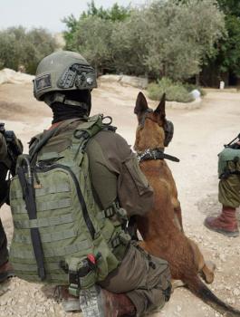 اعتقالات في الضفة الغربية 